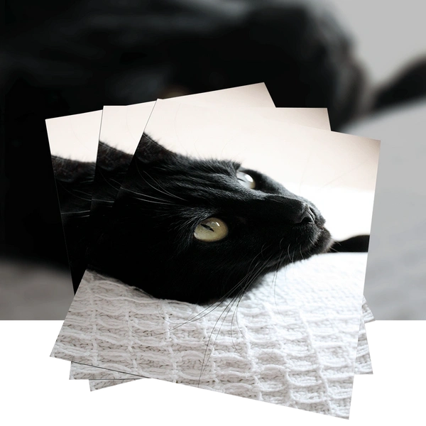 Posters Product Image