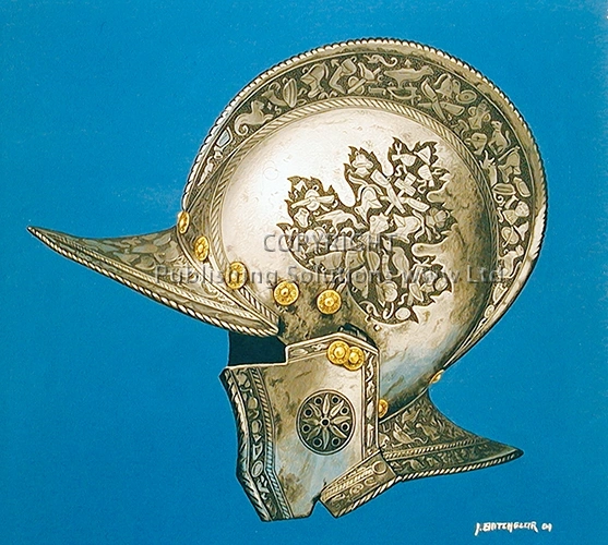 Helmet