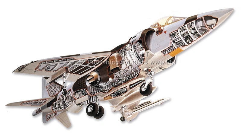 Harrier Cutaway